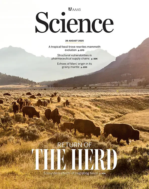 Image_20250911111337_46_810-600